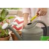 imageMiracleGro Watering Can Singles All Purpose Water Soluble Plant Food For Flowers Vegetables Houseplants Trees Indoor and Outdoor Plants 24 Packets24 Count Pack of 6