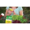 imageMiracleGro Watering Can Singles All Purpose Water Soluble Plant Food For Flowers Vegetables Houseplants Trees Indoor and Outdoor Plants 24 Packets24 Count Pack of 6