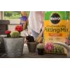 imageMiracleGro Cactus Palm ampamp Citrus Potting Mix and Succulent Plant Food  Bundle of Potting Soil 8 qt and Liquid Plant Food 8 oz for Growing and Fertilizing Indoor SucculentsPotting Mix 3 Pack