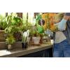 imageMiracleGro Cactus Palm ampamp Citrus Potting Mix and Succulent Plant Food  Bundle of Potting Soil 8 qt and Liquid Plant Food 8 oz for Growing and Fertilizing Indoor SucculentsPotting Mix  Plant Food