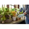 imageMiracleGro Cactus Palm ampamp Citrus Potting Mix and Succulent Plant Food  Bundle of Potting Soil 8 qt and Liquid Plant Food 8 oz for Growing and Fertilizing Indoor SucculentsPotting Mix  Plant Food
