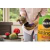 imageMiracleGro Cactus Palm ampamp Citrus Potting Mix and Succulent Plant Food  Bundle of Potting Soil 8 qt and Liquid Plant Food 8 oz for Growing and Fertilizing Indoor SucculentsPotting Mix 3 Pack
