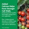 imageMiracleGro Shake N Feed Tomato Fruit and Vegetable Plant Food For InGround and Container Plants Feeds up to 3 Months 45 lbs1 lb