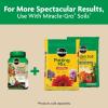imageMiracleGro Shake N Feed Tomato Fruit and Vegetable Plant Food For InGround and Container Plants Feeds up to 3 Months 45 lbs1 lb