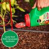 imageMiracleGro Shake N Feed Tomato Fruit and Vegetable Plant Food For InGround and Container Plants Feeds up to 3 Months 45 lbs45 lb