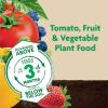 imageMiracleGro Shake N Feed Tomato Fruit and Vegetable Plant Food For InGround and Container Plants Feeds up to 3 Months 45 lbs45 lb