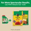 imageMiracleGro Shake N Feed Tomato Fruit and Vegetable Plant Food For InGround and Container Plants Feeds up to 3 Months 45 lbs45 lb