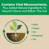 imageMiracleGro Shake N Feed Tomato Fruit and Vegetable Plant Food For InGround and Container Plants Feeds up to 3 Months 45 lbs45 lb