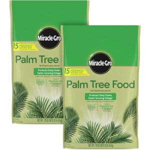 imageMiracleGro Cactus Palm ampamp Citrus Potting Mix and Succulent Plant Food  Bundle of Potting Soil 8 qt and Liquid Plant Food 8 oz for Growing and Fertilizing Indoor SucculentsPalm Tree Food 2Pack