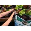 imageMiracleGro Organic All Natural Mulch Bagged and Shredded Mulch Landscaping OMRI Listed 15 cu ft
