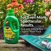 imageMiracleGro Organic Outdoor Potting Mix for Outdoor Container Plants Contains QuickRelease Natural Fertilizer OMRI Listed 16 qt 2Pack