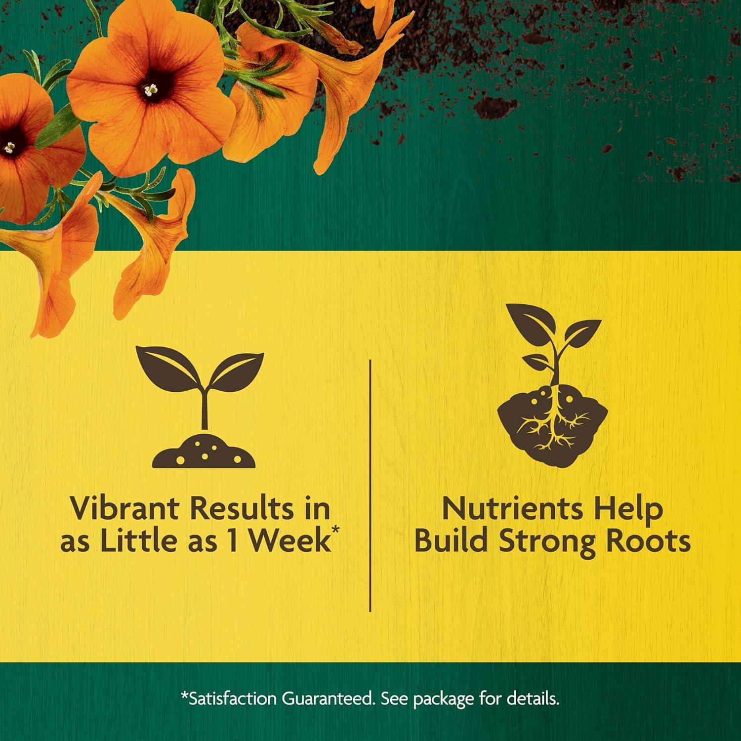 imageMiracleGro Organic All Purpose Plant Food for Outdoor Container and InGround Plants Feeds for up to 3 Months OMRI Listed 3 lb 2Pack