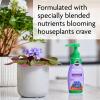 imageMiracleGro Blooming Houseplant Food Plant Fertilizer 8 oz 6Pack8 fl oz