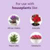 imageMiracleGro Blooming Houseplant Food Plant Fertilizer 8 oz 6Pack8 fl oz
