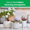 imageMiracleGro Blooming Houseplant Food Plant Fertilizer 8 oz 6Pack8 fl oz
