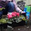 imageMiracleGro Moisture Control Potting Mix Bulk Pallet for Container Plants Protects Against Over and UnderWatering 1 cu ft Bags Pallet of 806 qt