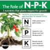 imageMiracleGro Organic All Purpose Plant Food for Outdoor Container and InGround Plants Feeds for up to 3 Months OMRI Listed 3 lb 2Pack