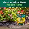 imageMiracleGro Organic All Purpose Plant Food for Outdoor Container and InGround Plants Feeds for up to 3 Months OMRI Listed 3 lb 2Pack