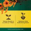 imageMiracleGro Organic All Purpose Plant Food for Outdoor Container and InGround Plants Feeds for up to 3 Months OMRI Listed 3 lb 2Pack