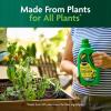 imageMiracleGro Organic Plant Food Made from Plants for All Plants Use with Indoor or Outdoor Container Plants and InGround Gardens OMRI Listed 32 oz
