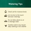 imageMiracleGro Organic Plant Food Made from Plants for All Plants Use with Indoor or Outdoor Container Plants and InGround Gardens OMRI Listed 32 oz