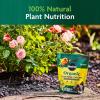 imageMiracleGro Organic Planting Tablets for Transplants and Starter Plants Formulated with Calcium Jump Starts Root Growth OMRI Listed 20 Tablets