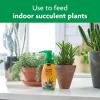imageMiracleGro Succulent Plant Food 8 oz For Succulents including Cacti Jade And Aloe1 Pack