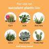 imageMiracleGro Succulent Plant Food 8 oz For Succulents including Cacti Jade And Aloe1 Pack
