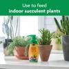 imageMiracleGro Succulent Plant Food 8 oz For Succulents including Cacti Jade And Aloe2 Pack