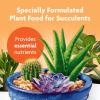 imageMiracleGro Succulent Plant Food 8 oz For Succulents including Cacti Jade And Aloe2 Pack