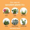 imageMiracleGro Succulent Plant Food 8 oz For Succulents including Cacti Jade And Aloe2 Pack
