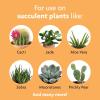 imageMiracleGro Succulent Plant Food 8 oz For Succulents including Cacti Jade And Aloe3 Pack
