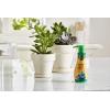 imageMiracleGro Succulent Plant Food 8 oz For Succulents including Cacti Jade And Aloe6 Pack