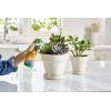 imageMiracleGro Succulent Plant Food 8 oz For Succulents including Cacti Jade And Aloe6 Pack