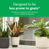 imageMiracleGro Tropical Potting Mix  Growing Media for Tropical Plants Living in Indoor and Outdoor Containers 6 qt 2Pack2 Pack