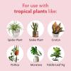 imageMiracleGro Tropical Potting Mix  Growing Media for Tropical Plants Living in Indoor and Outdoor Containers 6 qt 2Pack3 Pack