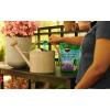 imageMiracleGro Water Soluble Azalea Camellia Rhododendron Plant Food  Fertilizer for AcidLoving Plants ampamp Flowers 5 lb
