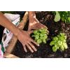imageMiracleGro Organic Raised Bed and Garden Soil with Quick Release Natural Fertilizer Peat Free OMRI Listed 1 cu ft