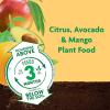 imageMiracleGro Shake N Feed Citrus Avocado Mango Plant Food For Container and InGround Plants Citrus Trees Avocado Trees and Mango Trees 45 lbs45 lb