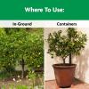 imageMiracleGro Shake N Feed Citrus Avocado Mango Plant Food For Container and InGround Plants Citrus Trees Avocado Trees and Mango Trees 45 lbs45 lb