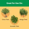imageMiracleGro Shake N Feed Citrus Avocado Mango Plant Food For Container and InGround Plants Citrus Trees Avocado Trees and Mango Trees 45 lbs45 lb