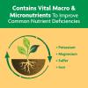 imageMiracleGro Shake N Feed Citrus Avocado Mango Plant Food For Container and InGround Plants Citrus Trees Avocado Trees and Mango Trees 45 lbs45 lb