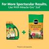 imageMiracleGro Shake N Feed Citrus Avocado Mango Plant Food For Container and InGround Plants Citrus Trees Avocado Trees and Mango Trees 45 lbs45 lb