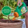 imageMiracleGro Shake N Feed Citrus Avocado Mango Plant Food For Container and InGround Plants Citrus Trees Avocado Trees and Mango Trees 45 lbs45 lb