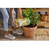 imageMiracleGro Shake N Feed Citrus Avocado Mango Plant Food For Container and InGround Plants Citrus Trees Avocado Trees and Mango Trees 45 lbs8 lb