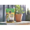 imageMiracleGro Shake N Feed Citrus Avocado Mango Plant Food For Container and InGround Plants Citrus Trees Avocado Trees and Mango Trees 45 lbs8 lb