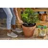 imageMiracleGro Shake N Feed Citrus Avocado Mango Plant Food For Container and InGround Plants Citrus Trees Avocado Trees and Mango Trees 45 lbs8 lb