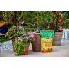 imageMiracleGro Citrus Avocado ampamp Mango Food 20 lb20 lb