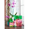imageMiracleGro Orchid Potting Mix Coarse Blend 8qt 2PackPlant Food