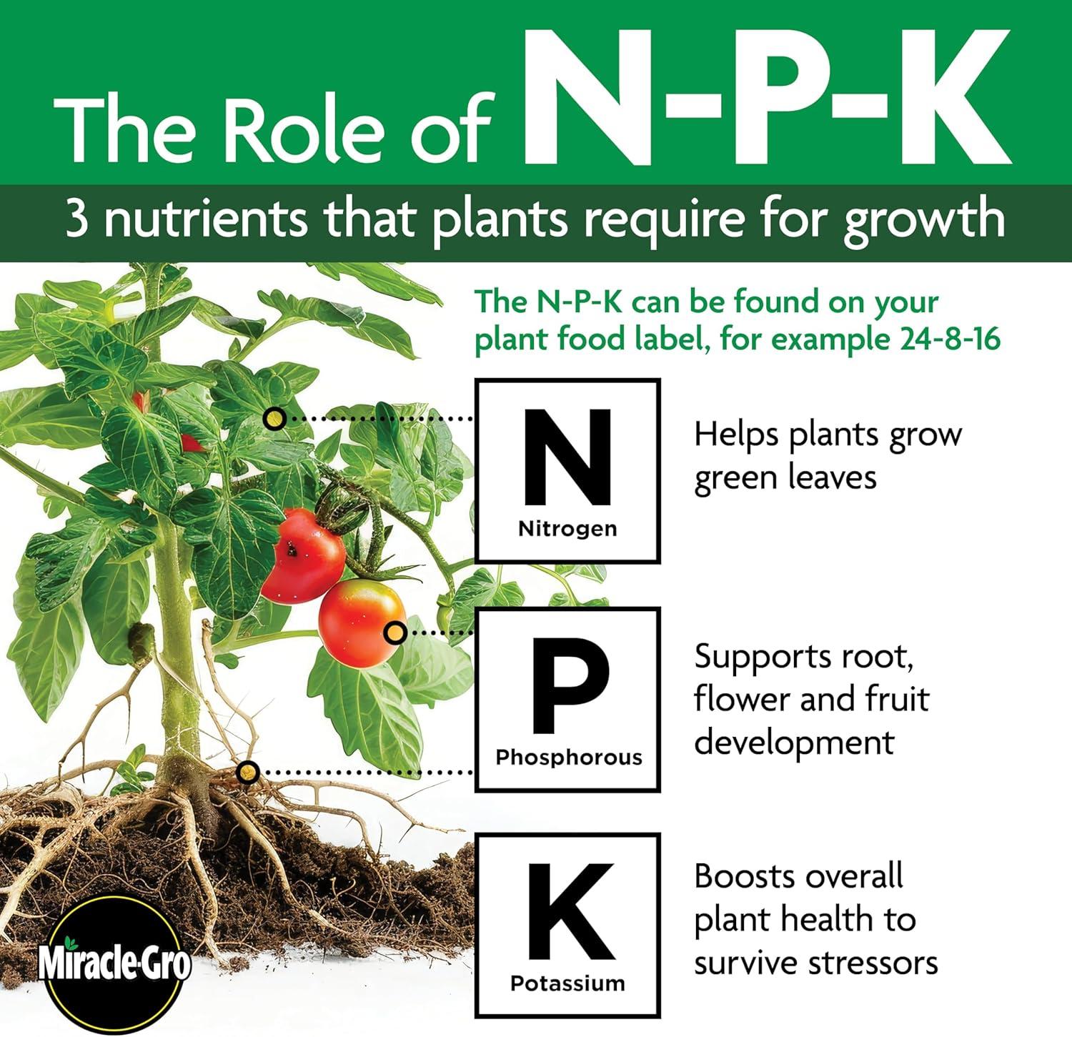 imageMiracleGro for Christmas Trees1 Pack